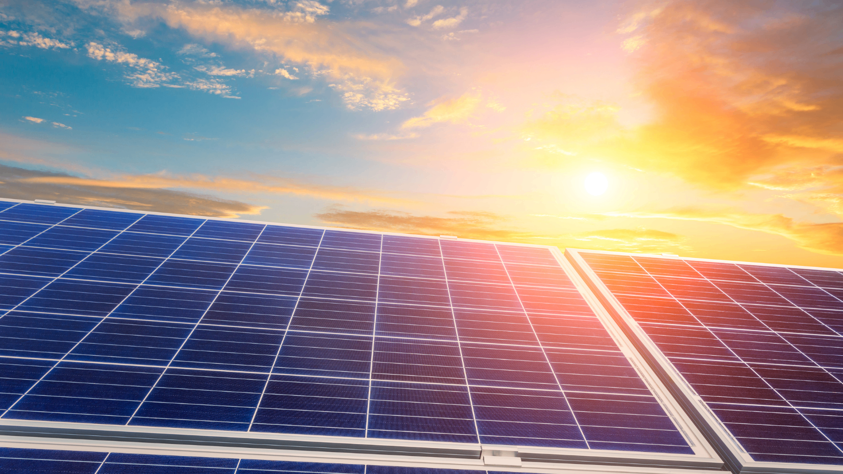 Floriculture Irrigation Solar Grid